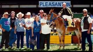 Rick Ruhge Mule Racing Video