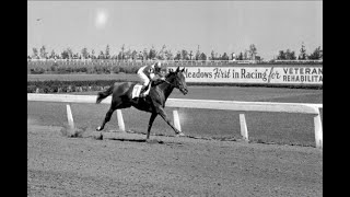 Bay Meadows Race Course : A Rich Tradition