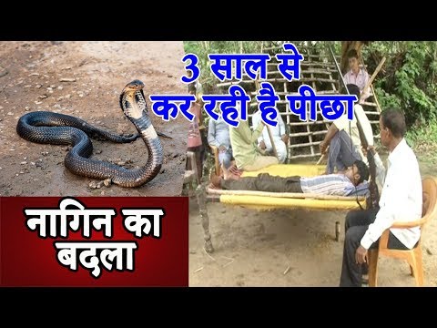 वीडियो: नागिंग कैसे रोकें