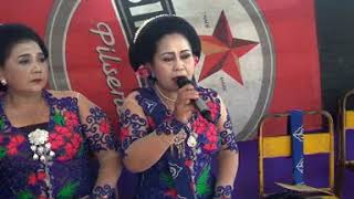 TAYUB BPK MUNAJI SEBALOR  DISC 1