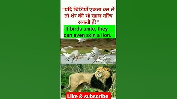 unity in diversity motivational quote #viral #ytshort #ytshorts #shorts #unity 👌🙏🌍