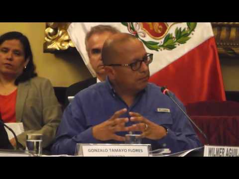 MEM explica causas del conflicto Las Bambas en Congreso