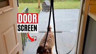 Need A Bug Screen For Your Door? Augo Magnetic Self-Sealing Screen Door Review