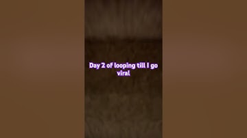 Day 2 of looping till I go viral #loop