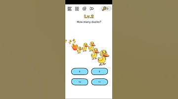 Brain out level 2 How many ducks?