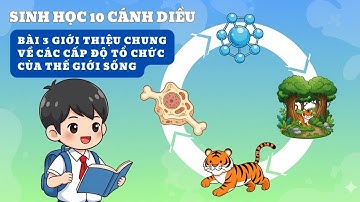 Sinh học 10 Bài 3 Cánh Diều | Giới Thiệu Các Cấp Độ Tổ Chức Của Thế Giới Sống