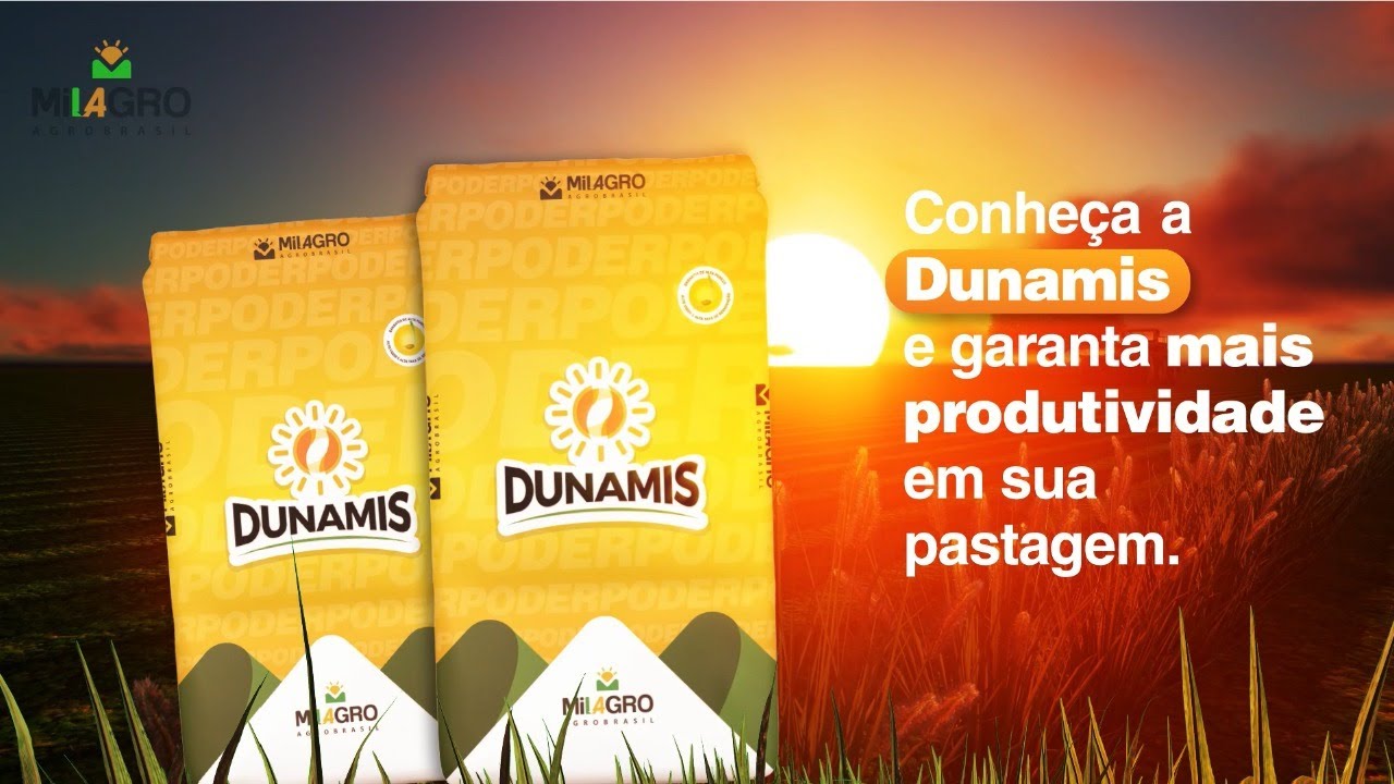 Capim Dunamis - Milagro Agro Brasil