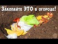 ОРГАНИЧЕСКОЕ УДОБРЕНИЕ ИЗ ОТХОДОВ!!! КОМПОСТ ДЛЯ ЛЕНИВЫХ!!!