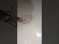 Arabic Mehndi Design Collection | Stylish &amp; Easy Arabic Mehndi Designs #hennadesign #hennatattoo