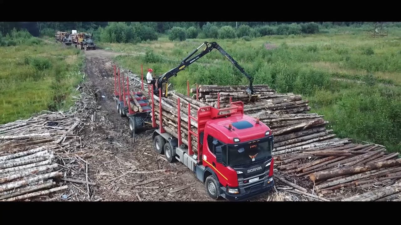 Машина для перевозки леса
