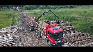 Чем меня удивили специальные грузовики для перевозки леса?