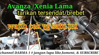 Avanzaxenia Lama Tarikan Tersendatbrebetgak Bisa Lari