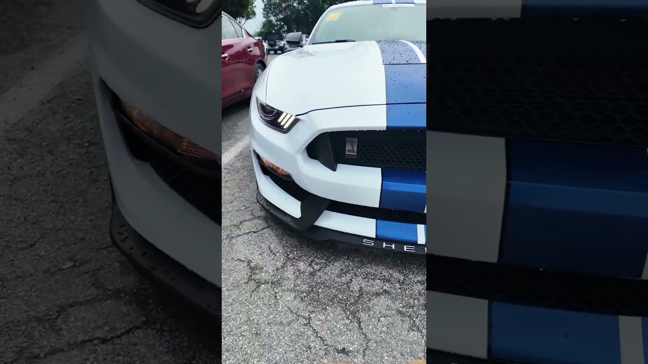 Как за 1 раз на автоаукционе заработать 20 000 $? Ford Mustang gt 350 Shelby  