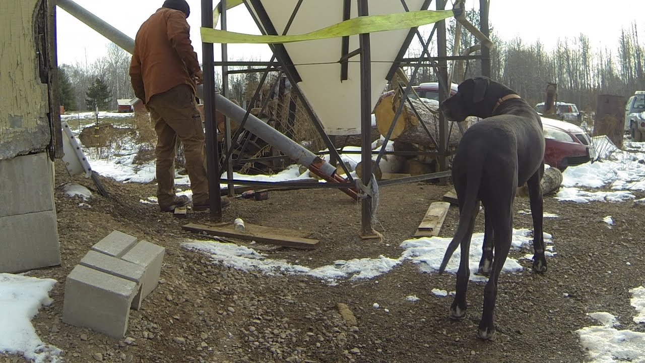 Setting up a bulk grain bin and auger for pig feed YouTube