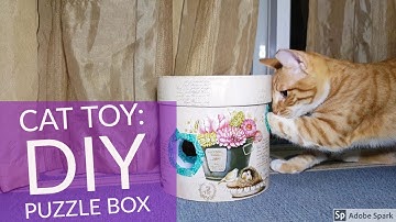 Cat Toy DIY - Puzzle Box Easy and CHEAP
