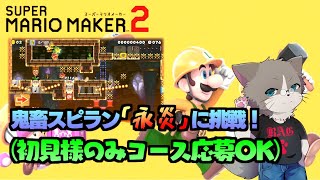 にけさんの鬼畜スピラン「永炎」クリア耐久！『スーパーマリオメーカー2/マリメ2』