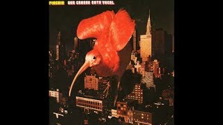 Pinguin - Der Grosse Rote Vogel 1972 Full Vinyl Album