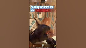 Planting the bomb 💣 too late #cs2clips #cs2 #krystynsrl #bombplant