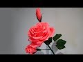 Beautiful big rose with buds  (Красивая большая роза с бутонами )