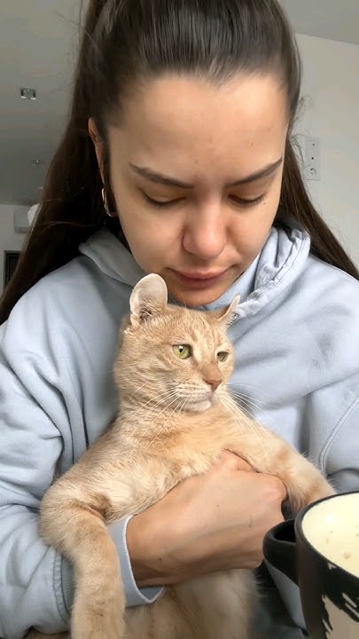 Babycat - YouTube