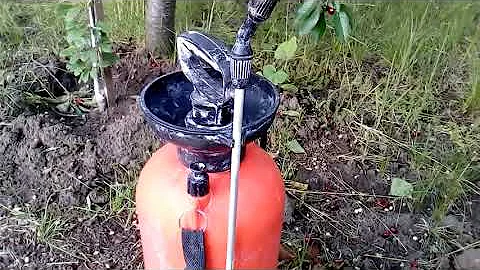 Американская белая бабочка