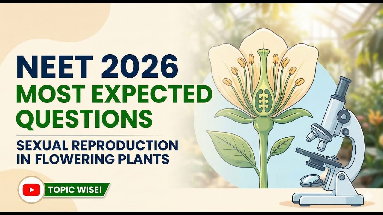 NEET 2026 Biology 🔥 Sexual Reproduction in Flowering Plants – Most ...