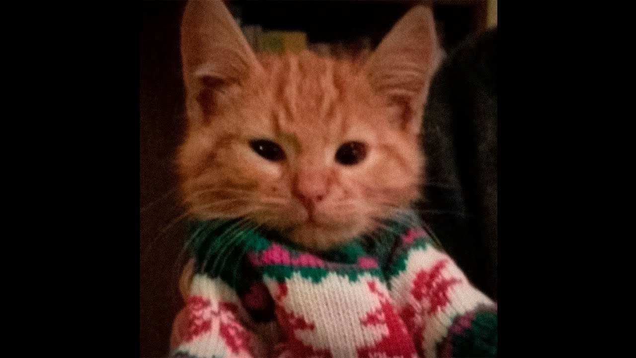 [free] acoustic / christmas indie type beat ~ "next christmas"