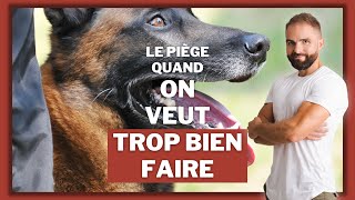 Le piège lorsqu'on veut trop bien faire avec son chien !