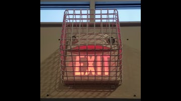 Exit & Emergency Lights at McAdams