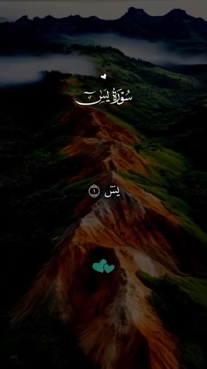 AQMtNwgU5rXtlJ7GI9zFSdlpsWmOyZYaj2t8qqNiI0DEUf4Kc-OrOW7TZhBMki7w4GNLtkIenH5n2TpTCRAISXqwRUGeGGyw##