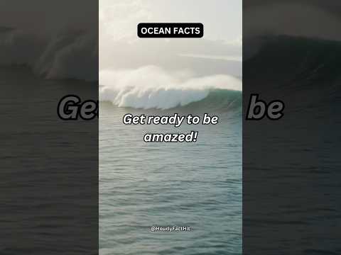 Jaw-Dropping Ocean Beauty...