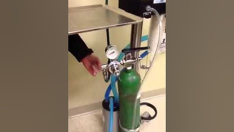 Non-rebreathing anesthesia machine setup