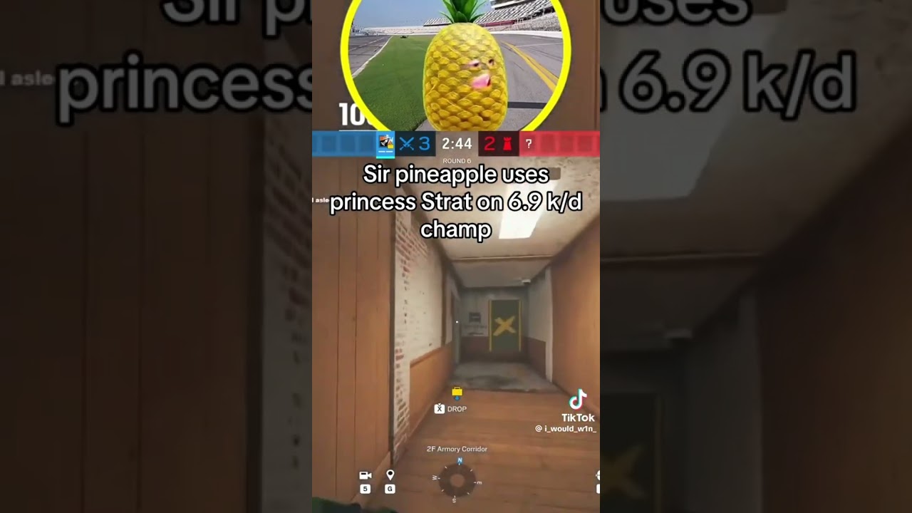 Sir pineapple uses princess strat in 6.9/kd champ 