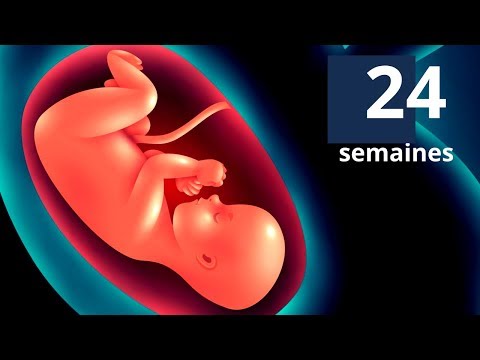 Vidéo: 24 Semaines De Grossesse : Sensations, Développement Fœtal