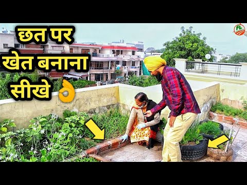 वीडियो: घर पर छत कैसे बनाएं