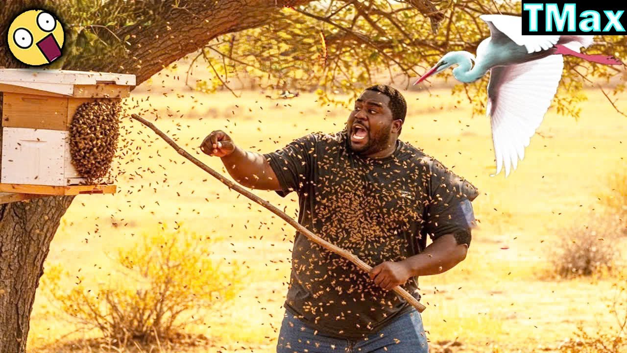 TOTAL IDIOTS AT WORK | Instant Regret Fails Compilation 2025 #189 | TRY NOT TO LAUGH