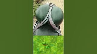 Most similar plant#pvz #pvzfusion