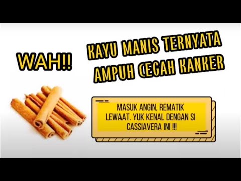 Video: Penanaman Kayu Manis Ceylon - Informasi Tentang Tanaman Cinnamomum Zeylanicum