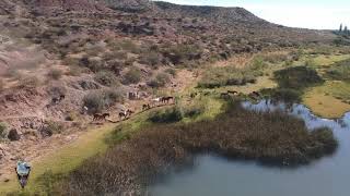 Capturando lugares. Balneario "ex balsa" Senillosa Neuquén Patagonia