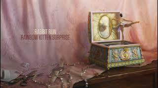 Rainbow Kitten Surprise - Rabbit Run