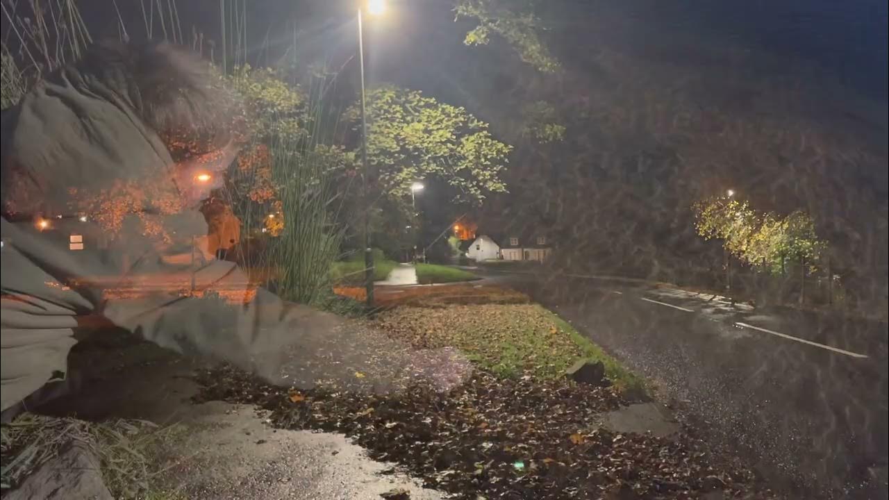 “The Lights Go Out” by Vivien Scotson YouTube