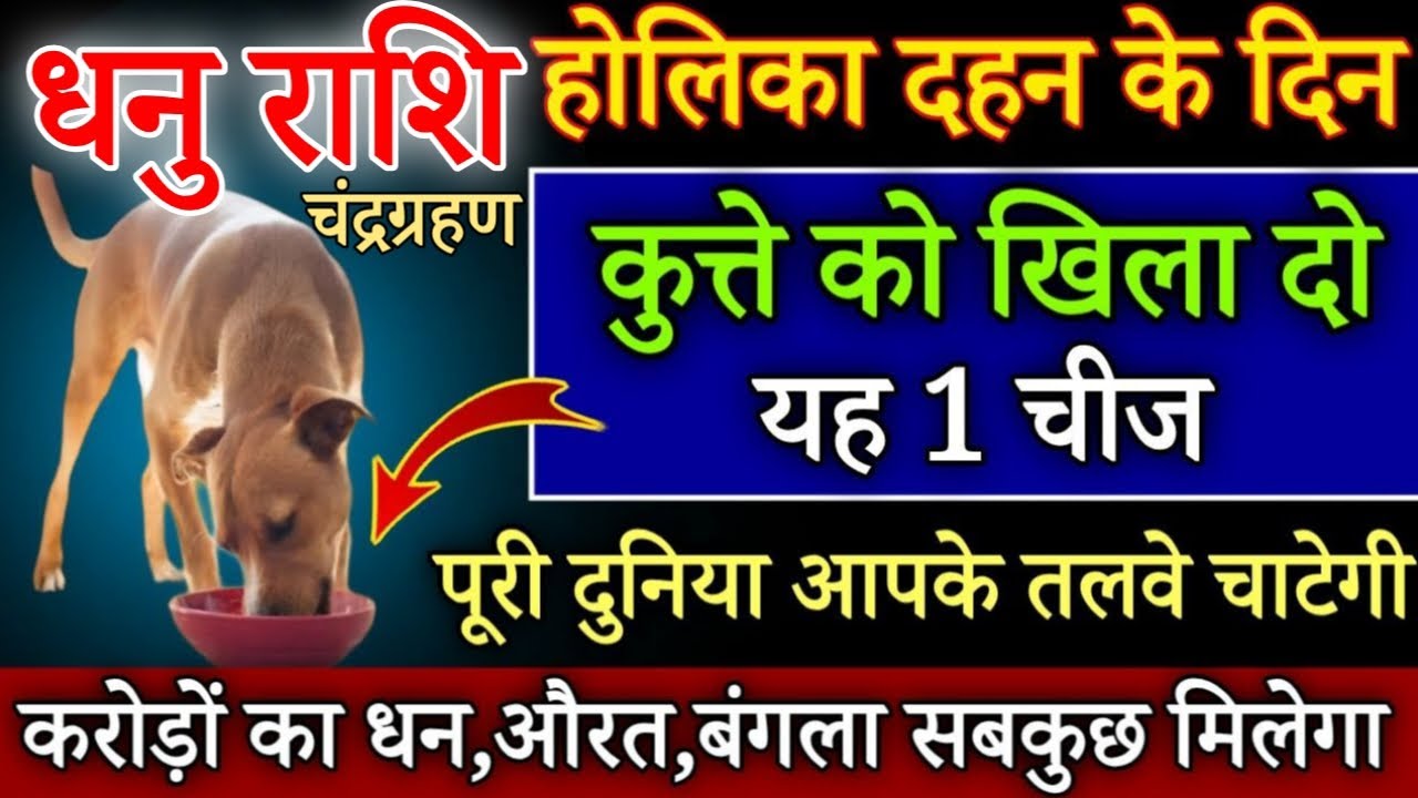 धनु राशि होलिका दहन के दिन कुत्ते को खिलादो यह 1 चीज बिना कुछ करे साथ पुश्ते धन खाएगी/#dhanurashi