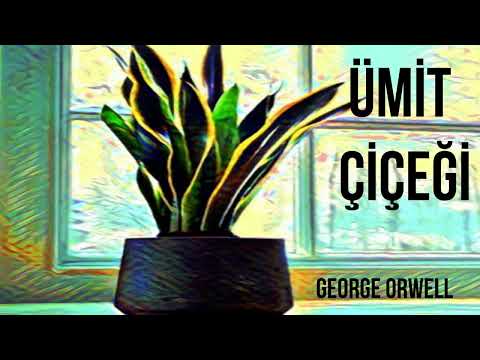 Ümit Çiçeği (Aspidistra) -George Orwell- (Sesli Kitap)