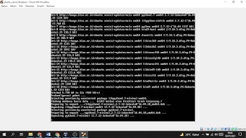 Oracle VM VirtualBox - Cara Konfigurasi Dns Server Ubuntu 16.04