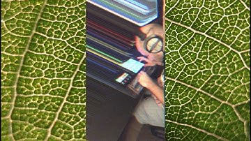 AMBIENT DRONE MUSIC IMPROV ON NATIVE INSTRUMENTS MASCHINE #6