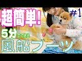 愛犬のためのDIY !!５分でできる風船ブーツ？？【ドッグパッドチャンネル】　＃１