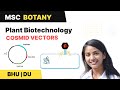 Cosmids ( hybrid cloning vectors) | Plant Biotechnology | BHU and DU MSc Entrance |  In Hindi