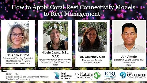 How to Apply Coral Reef Connectivity Models to Reef Management