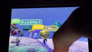 【とび森 オン島】個人的にクソおもろかった島【穴を掘ってる人がいたので謝りながら邪魔してみた！】【怒られる】【直撮り】