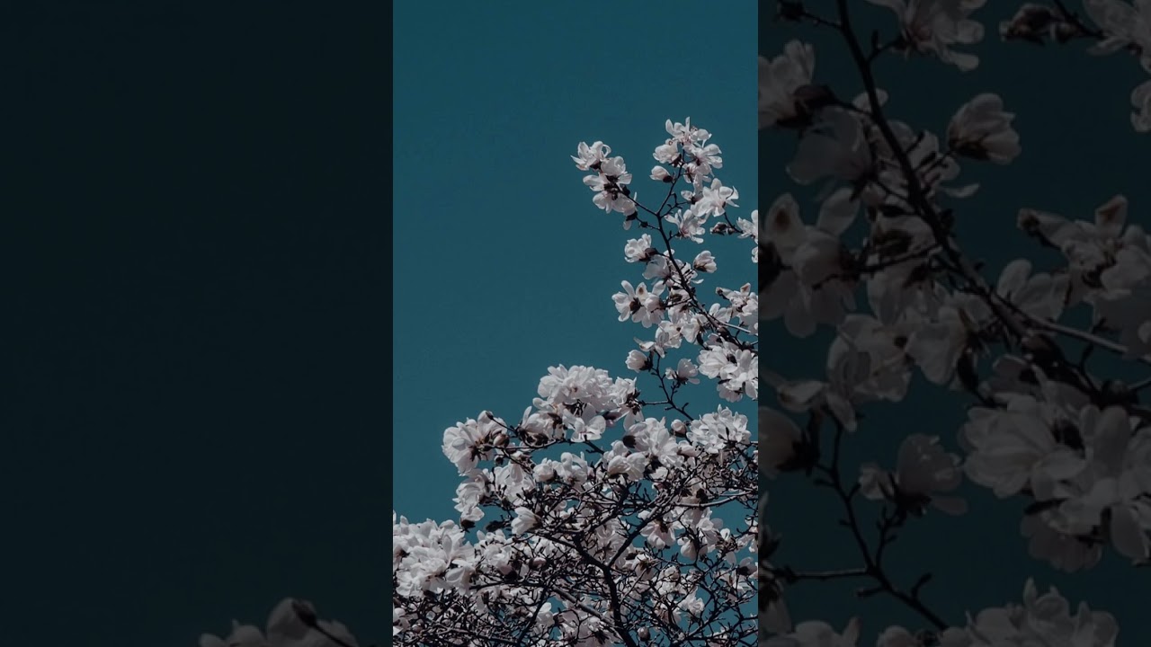 KB - "Lil Boy" (slowed + reverb)